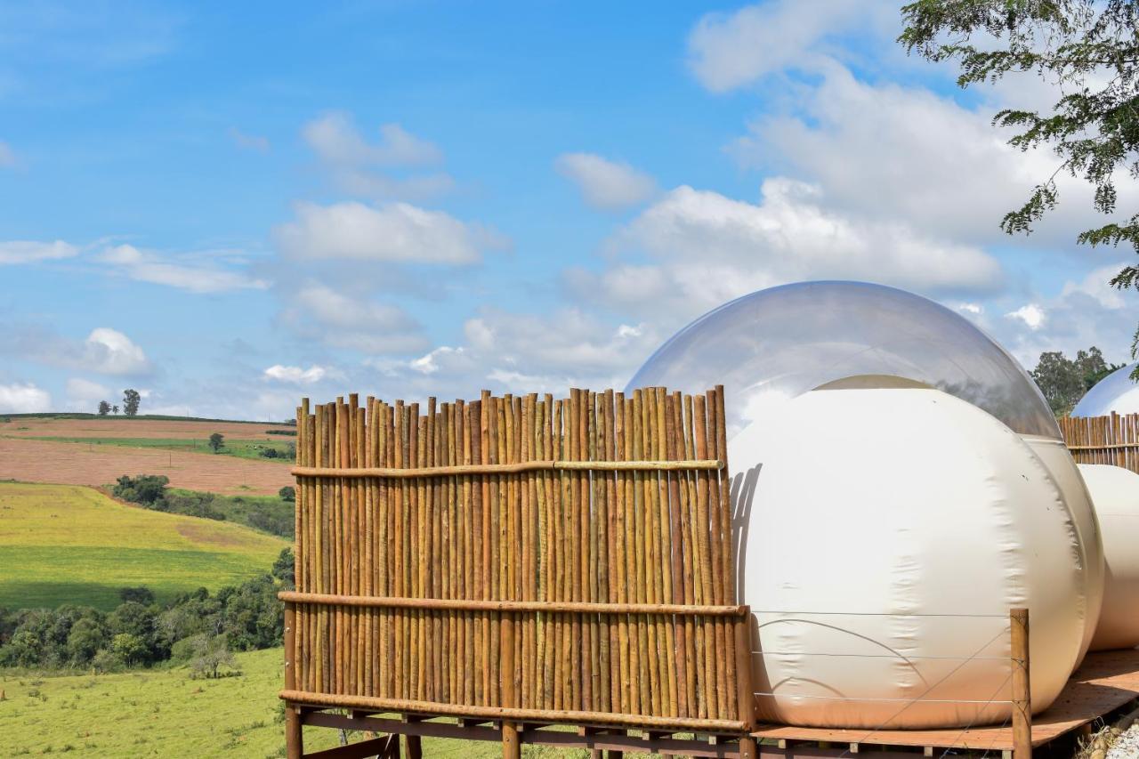Bubble Pingo Do Mula Serra Da Canastra São Roque de Minas Buitenkant foto