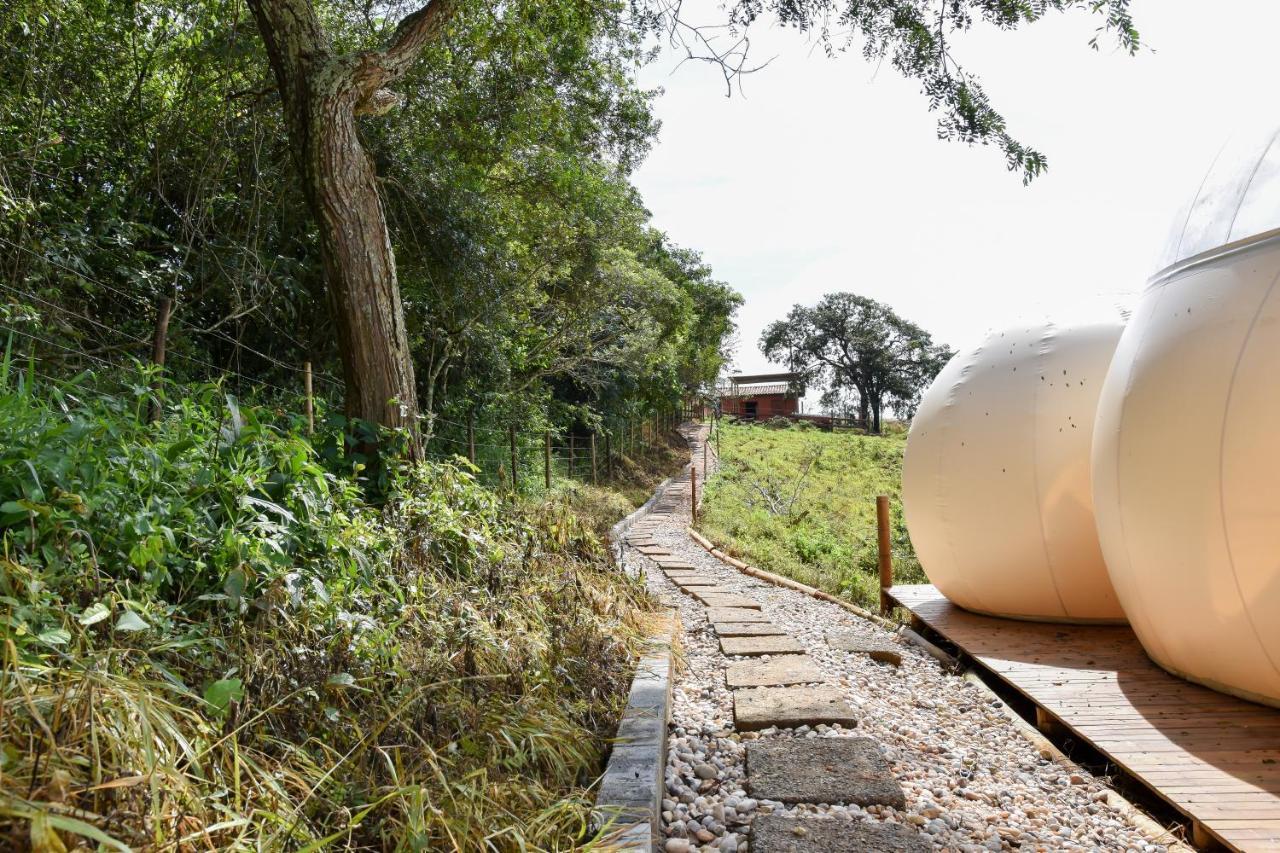 Bubble Pingo Do Mula Serra Da Canastra São Roque de Minas Buitenkant foto
