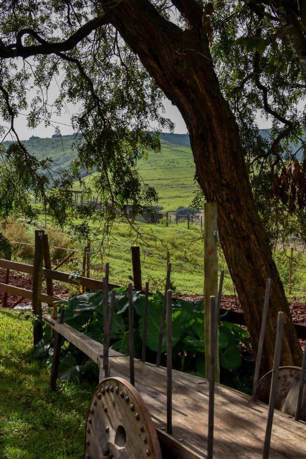 Bubble Pingo Do Mula Serra Da Canastra São Roque de Minas Buitenkant foto